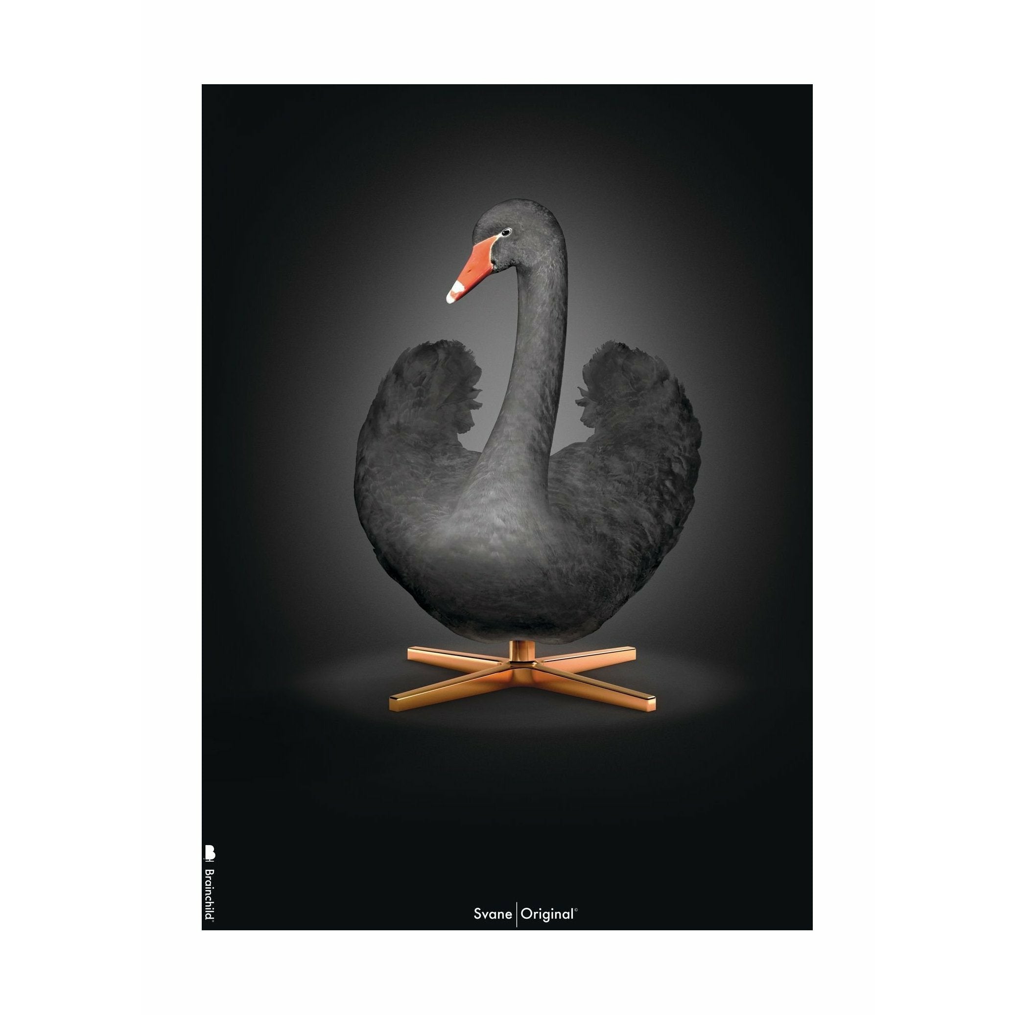 Brainchild Swan Classic Poster No Frame 70x100 cm, svart/svart bakgrund