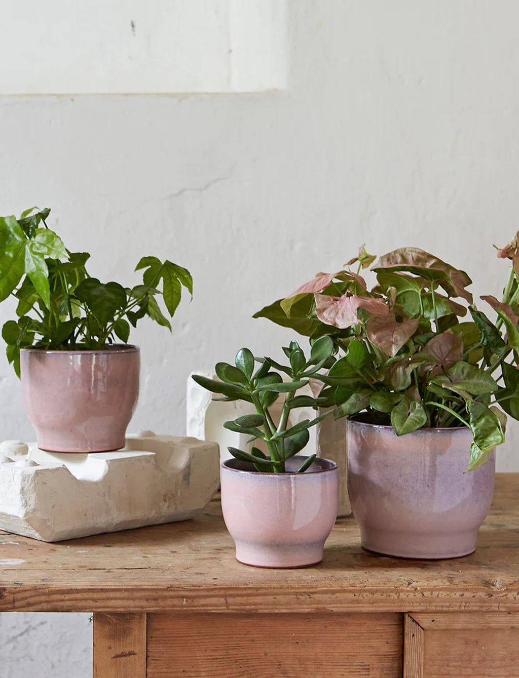 Knabstrup Keramik Örtpotten gömmer sig Ø 12,5 cm, rosa