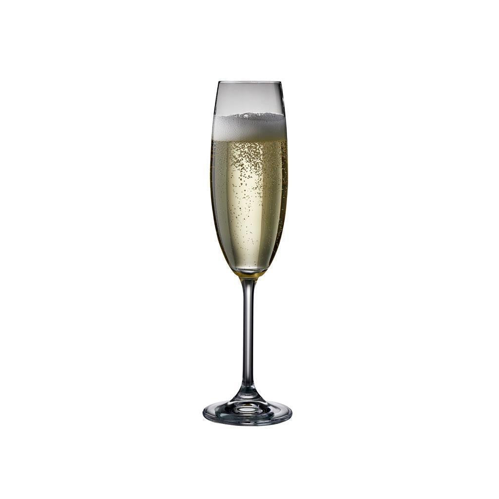 BITZ Champagneglas, 22cl, 2 st, redo