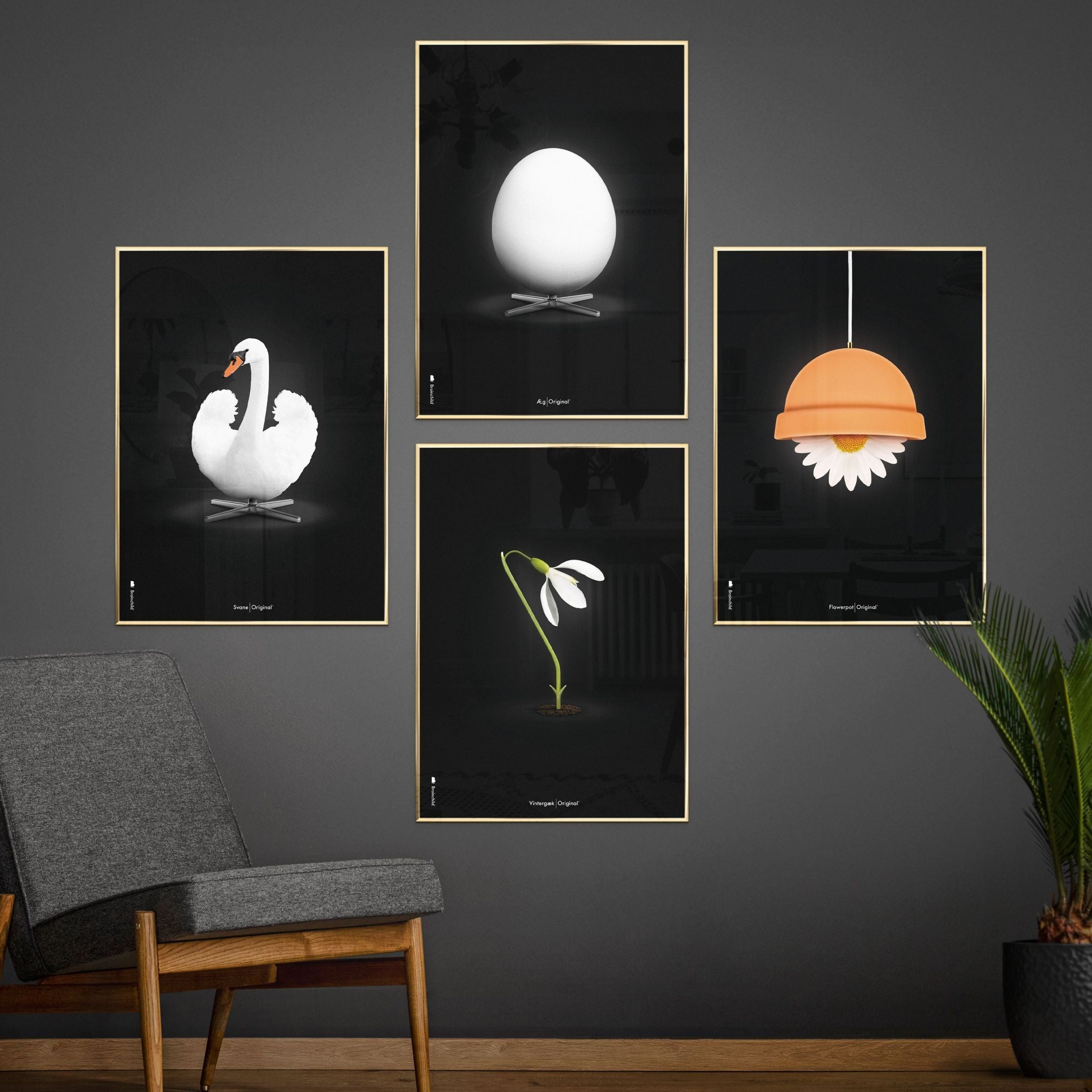 Brainchild Flowerpot Classic -affisch, ram i lätt trä 30x40 cm, svart bakgrund