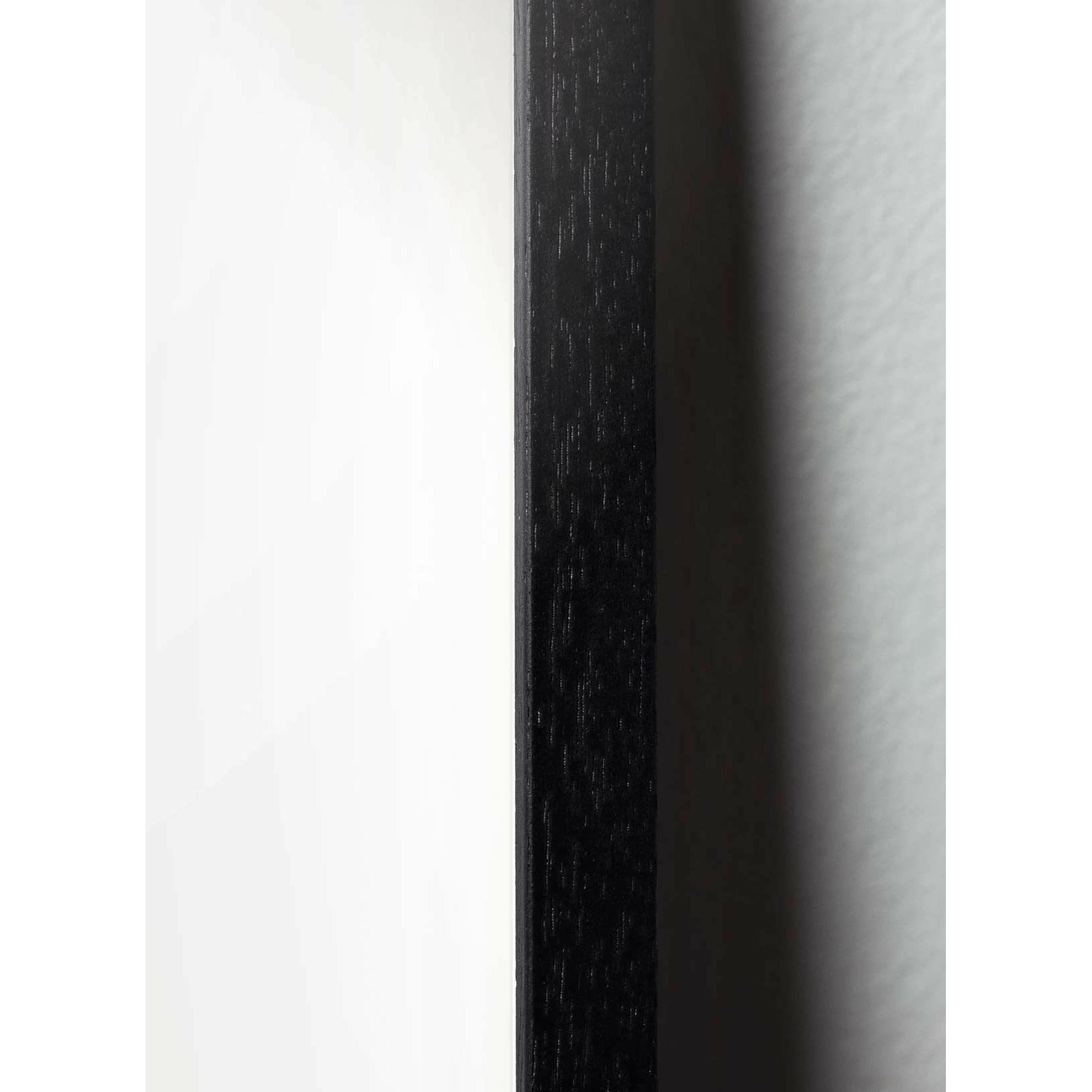 Brainchild Ägglinjeffisch, ram i svart målad trä A5, vit bakgrund