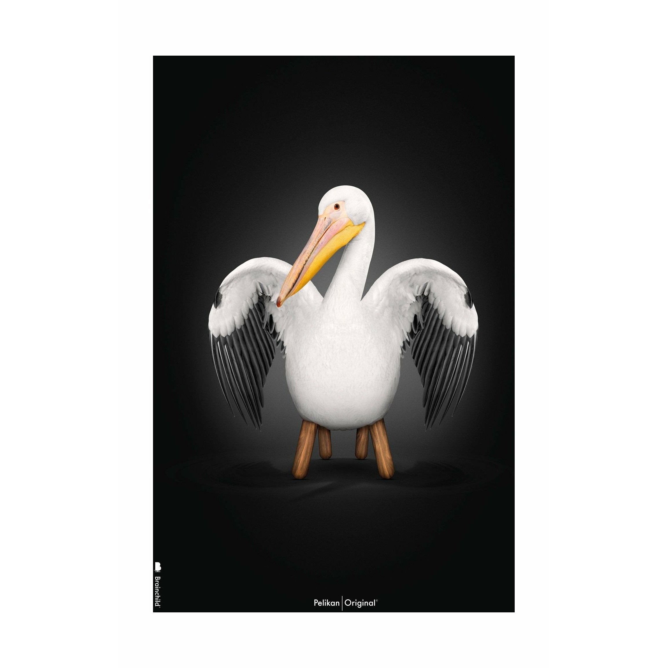 Brainchild Pelican Classic Affisch No Frame 50x70 cm, svart bakgrund