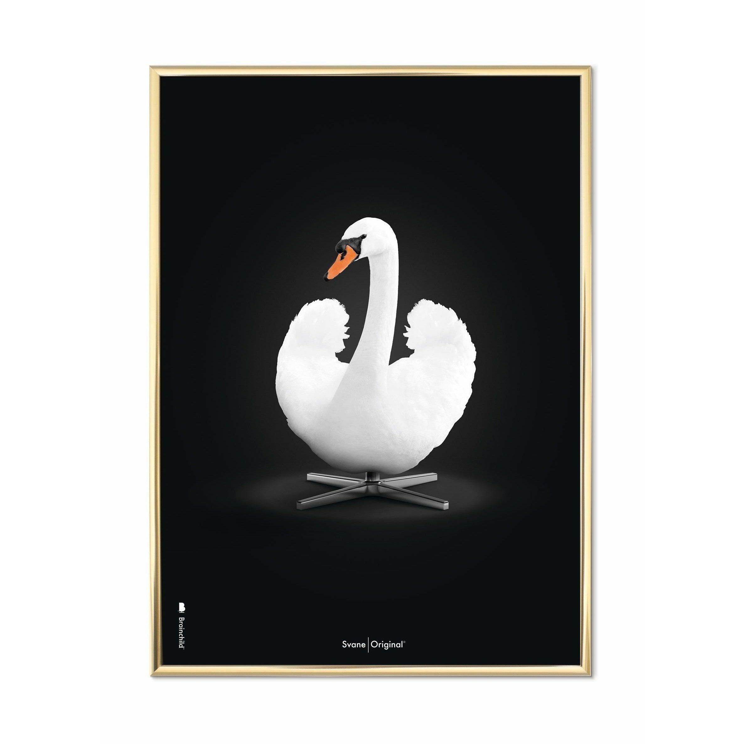 Brainchild Svane Klassisk Plakat, Messingfarvet Ramme 50X70 Cm, Hvid/Sort Baggrund