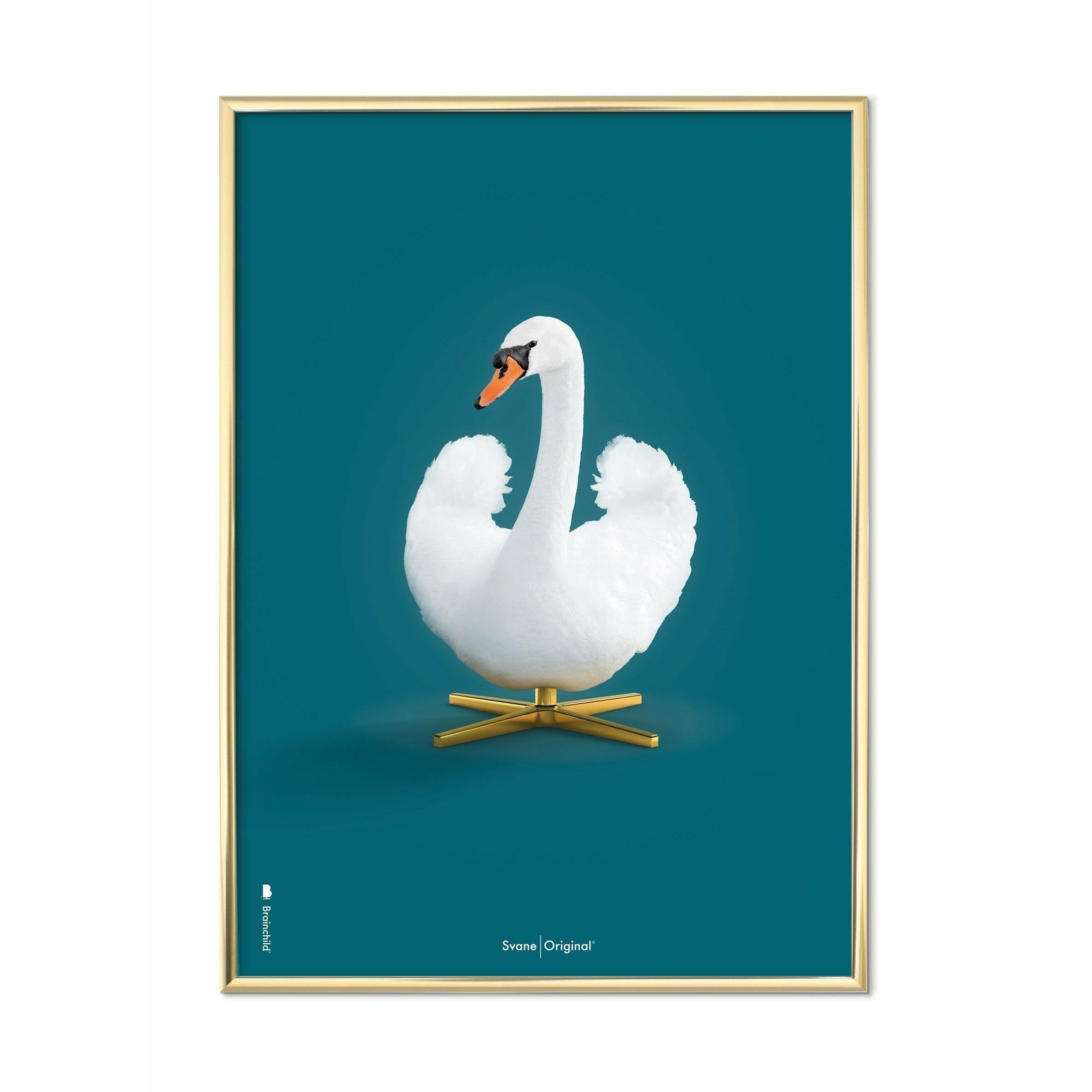 Brainchild Swan Classic Poster, mässingsfärgad ram 70x100 cm, petroleumblå bakgrund