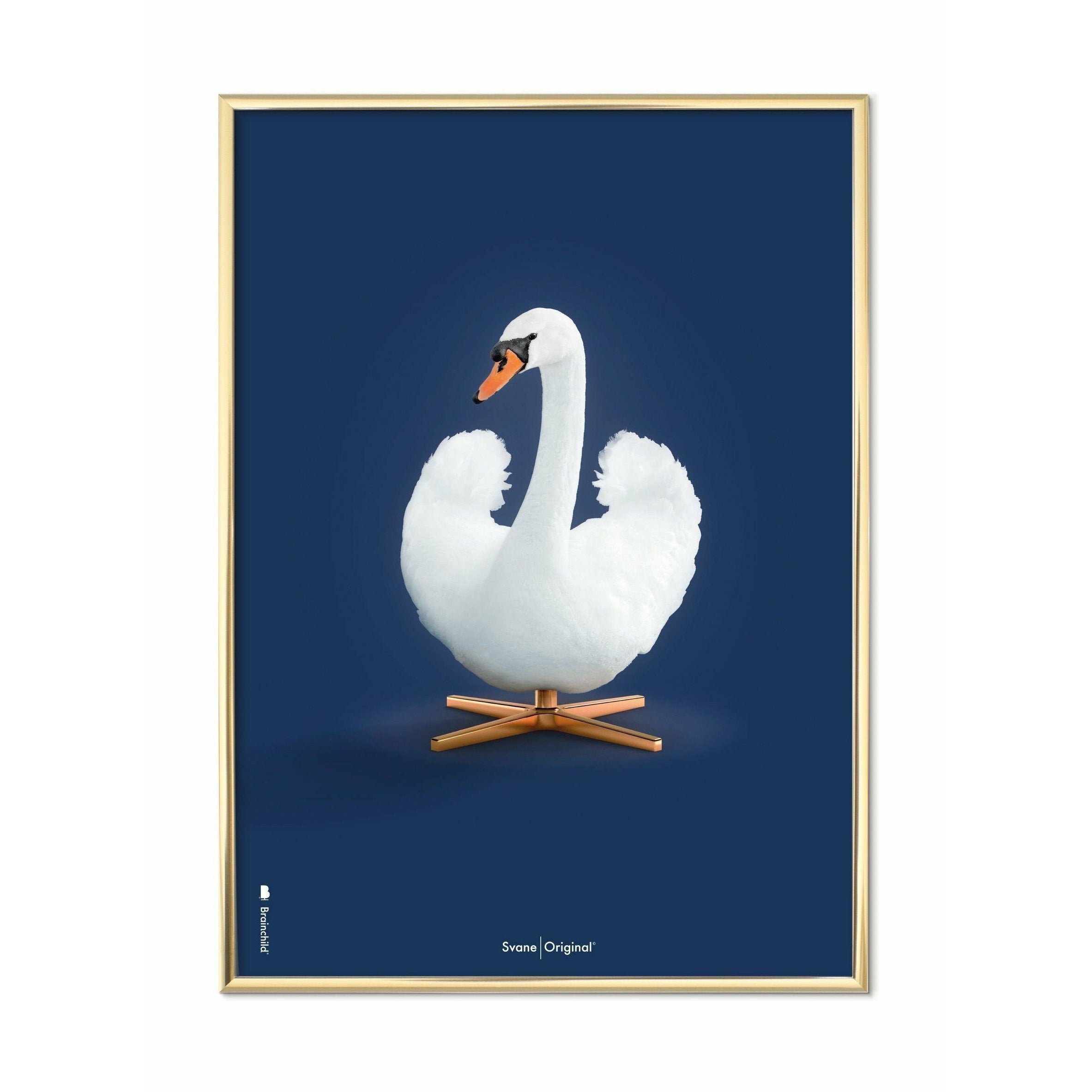 Brainchild Swan Classic Poster, mässingsfärgad ram A5, mörkblå bakgrund