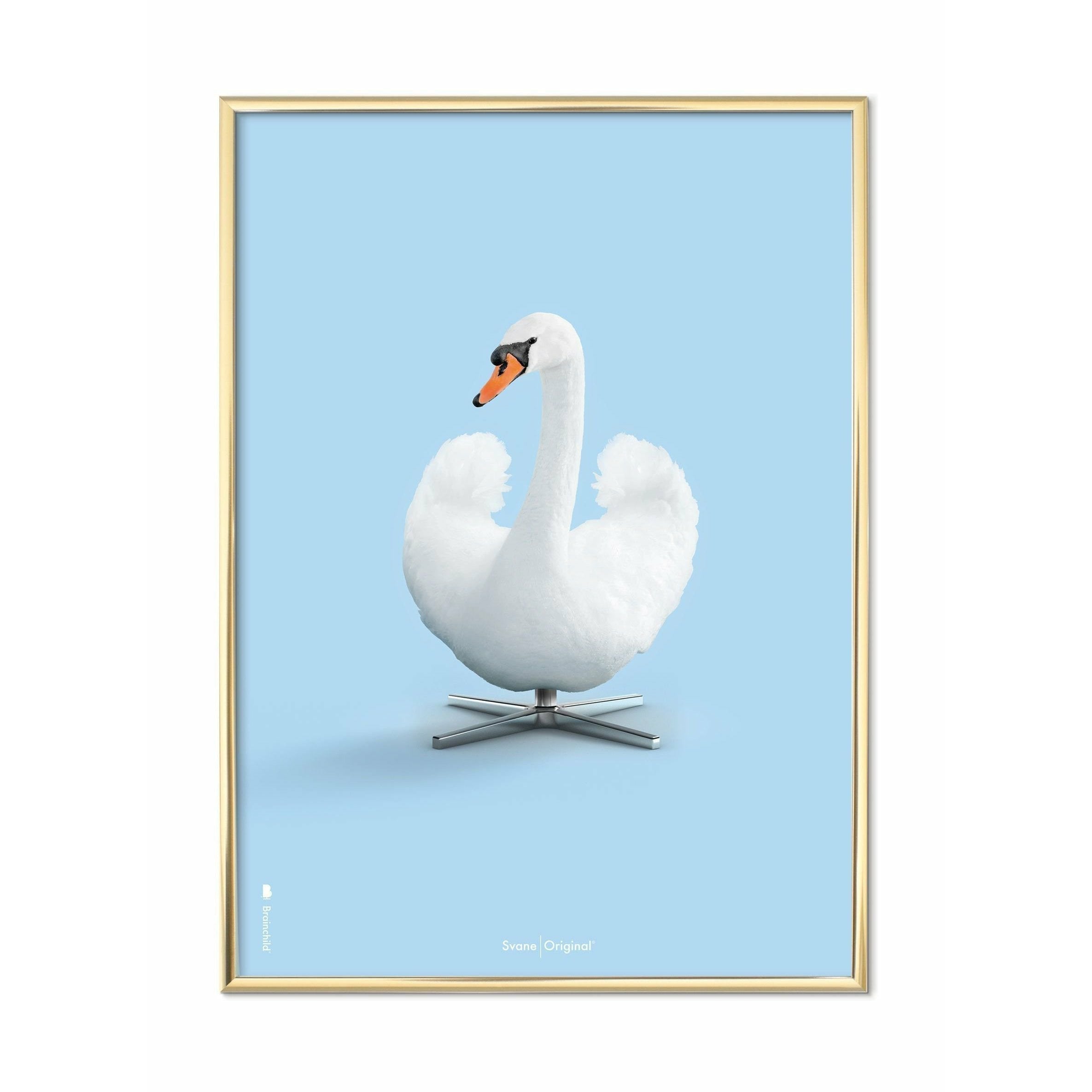 Brainchild Swan Classic -affisch, mässingsfärgad ram A5, ljusblå bakgrund