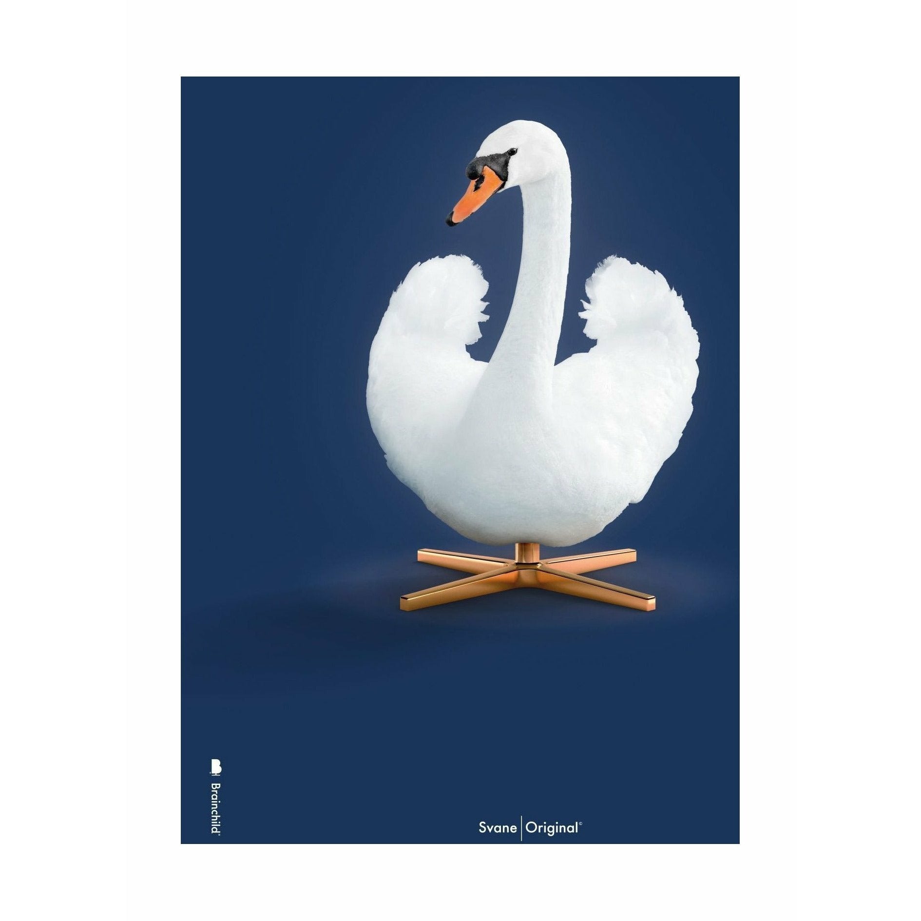Brainchild Swan Classic Affisch No Frame 50x70 cm, mörkblå bakgrund