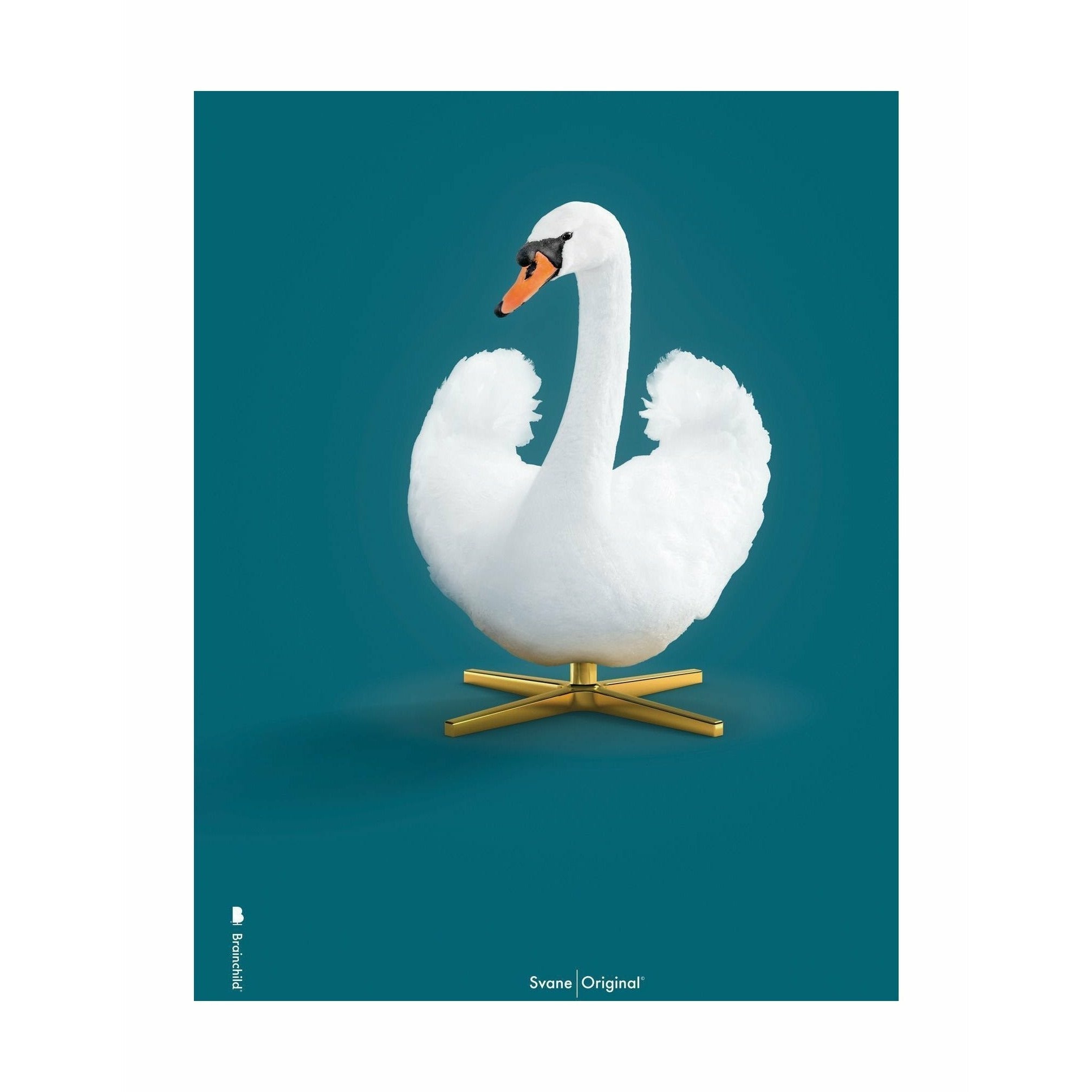 Brainchild Swan Classic Affisch No Frame 50x70 cm, Petroleum Blue Bakgrund