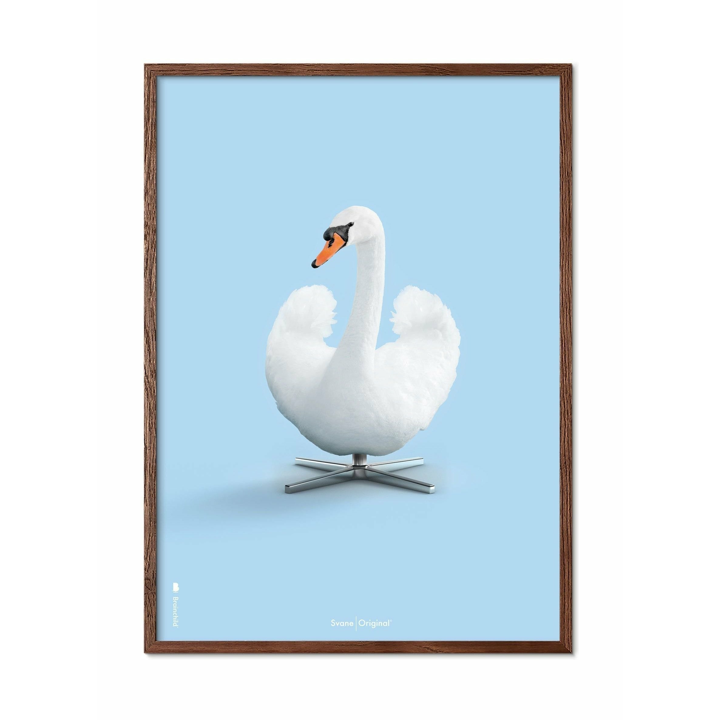 Brainchild Swan Classic Affisch, ram i mörkt trä 30x40 cm, ljusblå bakgrund