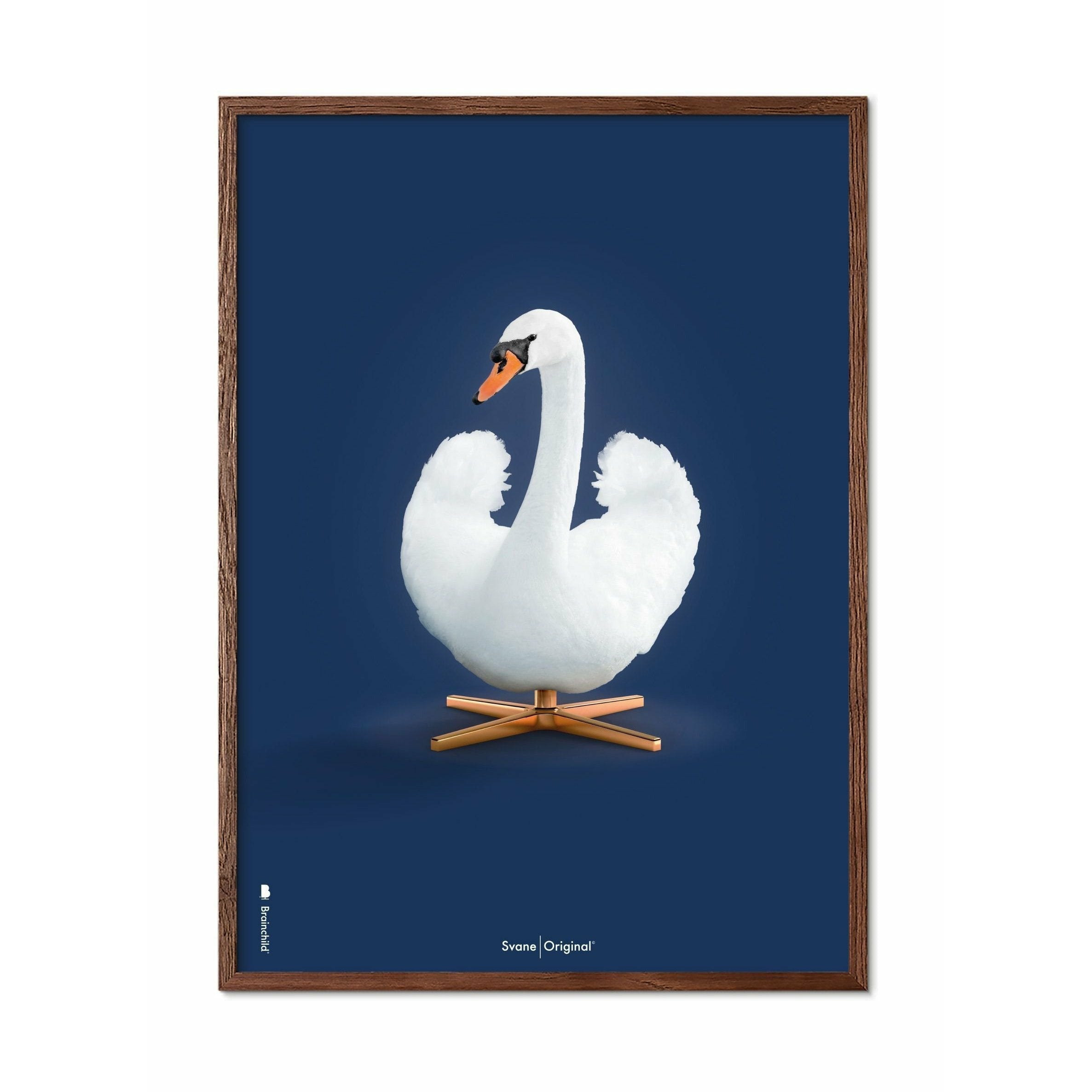 Brainchild Swan Classic Affisch, ram i mörk trä 50x70 cm, mörkblå bakgrund