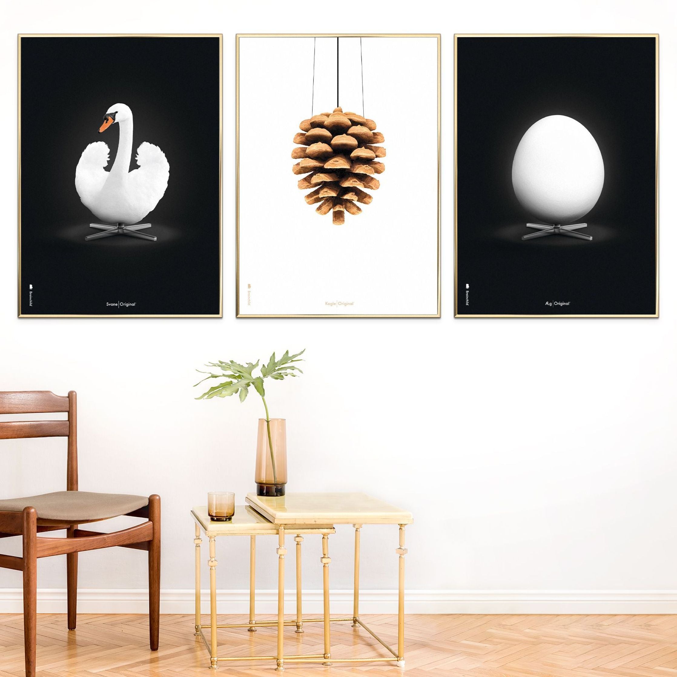 Brainchild Swan Classic Poster, ram i mörkt trä 70x100 cm, vit/svart bakgrund