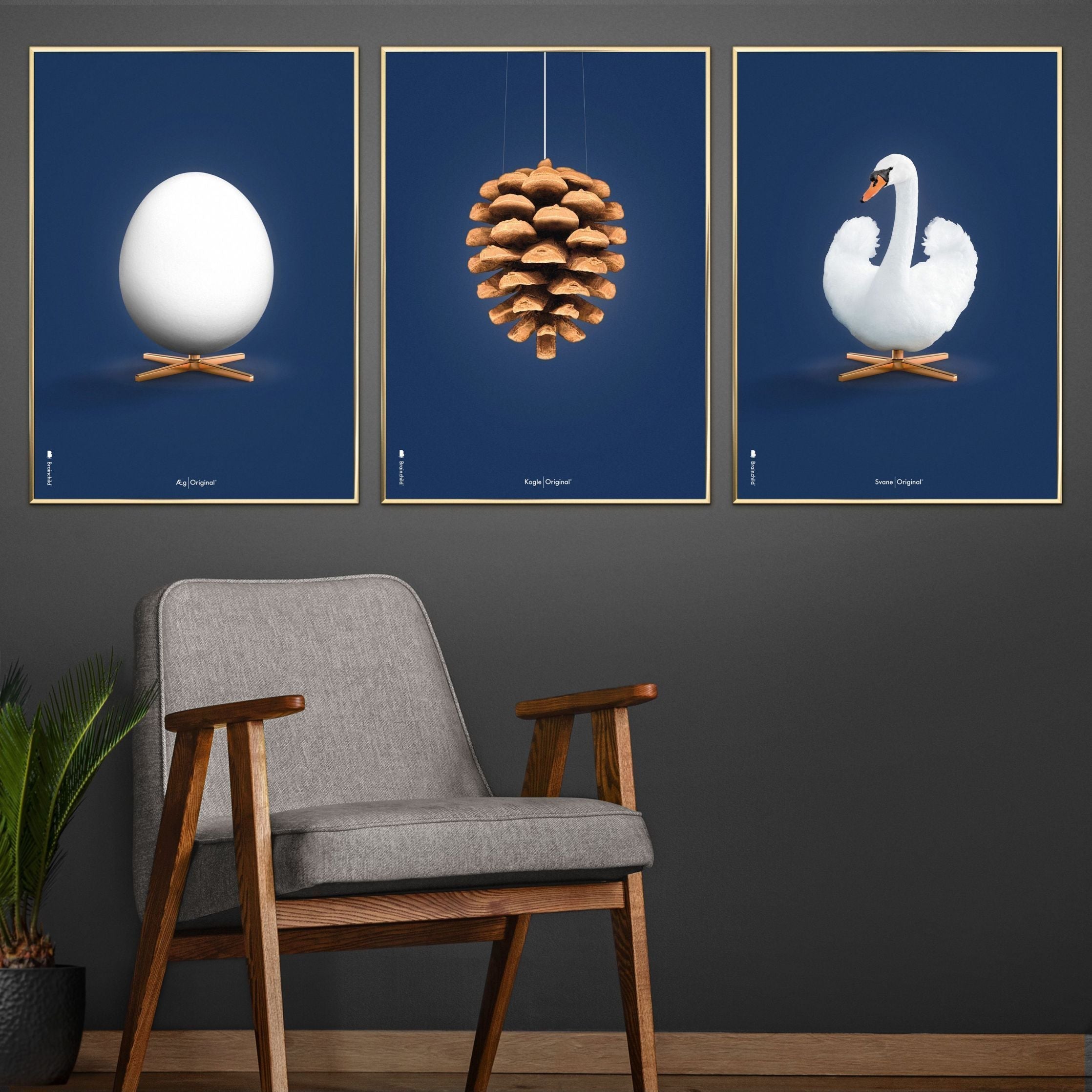 Brainchild Swan Classic -affisch, ram i mörk trä A5, mörkblå bakgrund