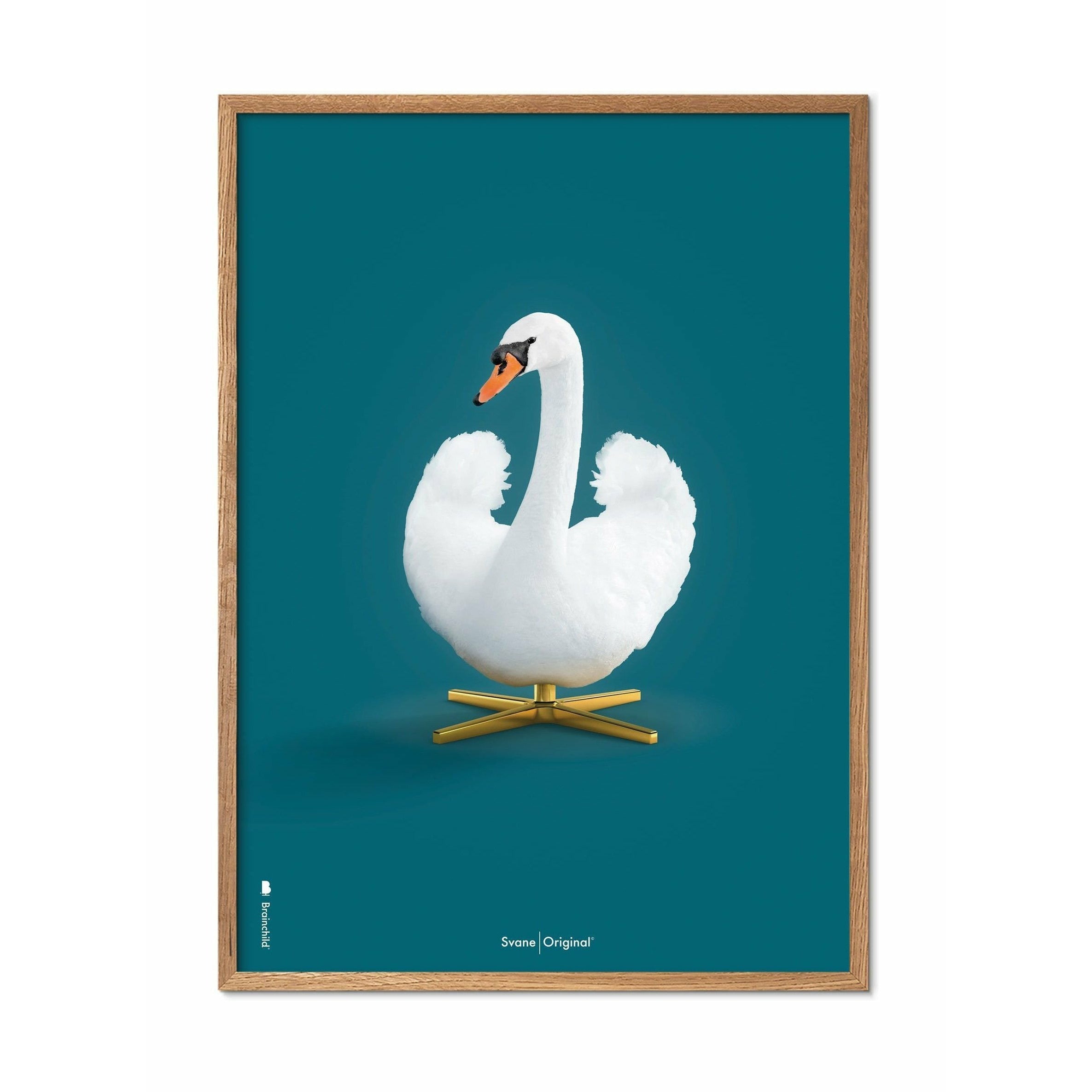 Brainchild Swan Classic Affisch, ram i lätt trä 50x70 cm, petroleumblå bakgrund