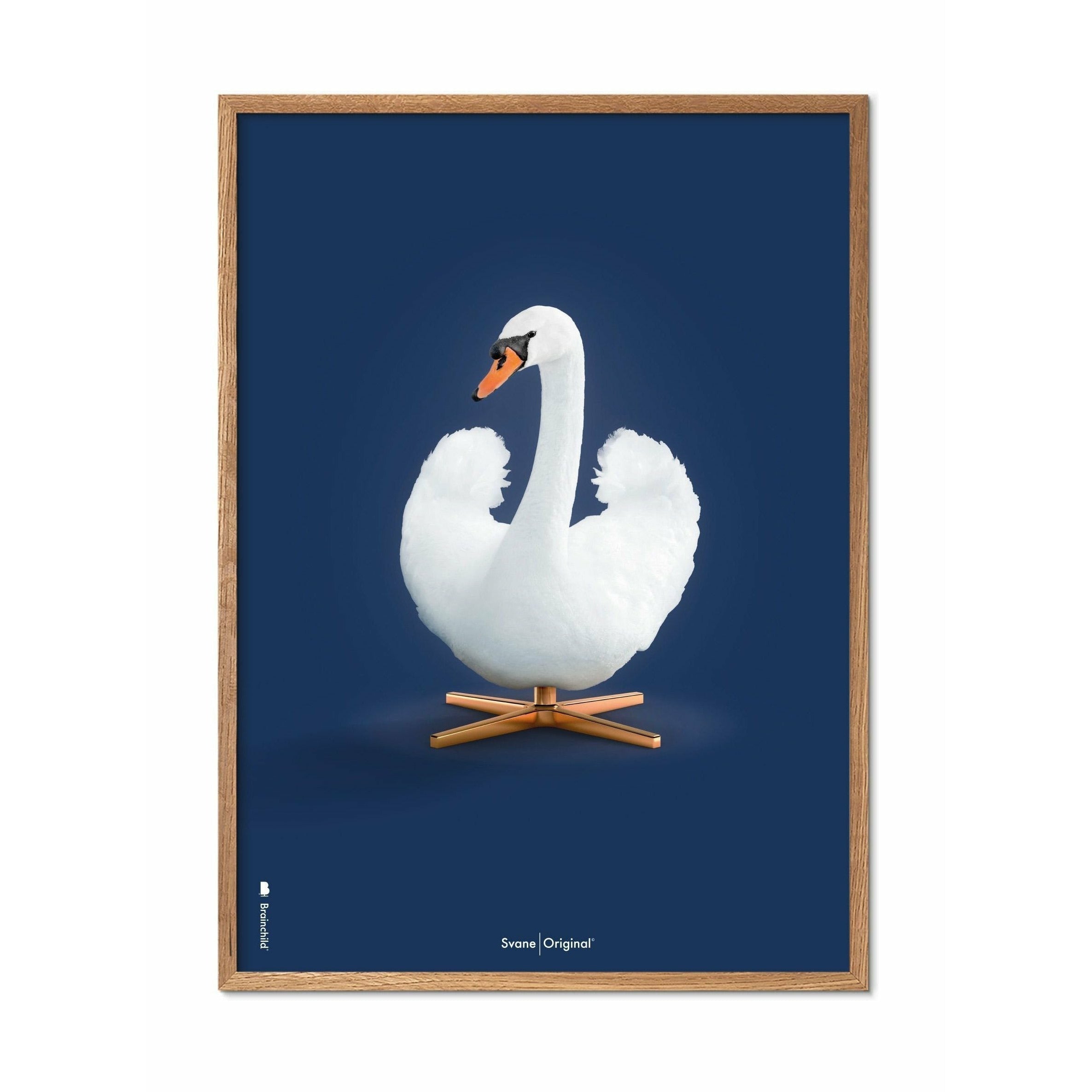 Brainchild Swan Classic -affisch, ram i lätt trä A5, mörkblå bakgrund