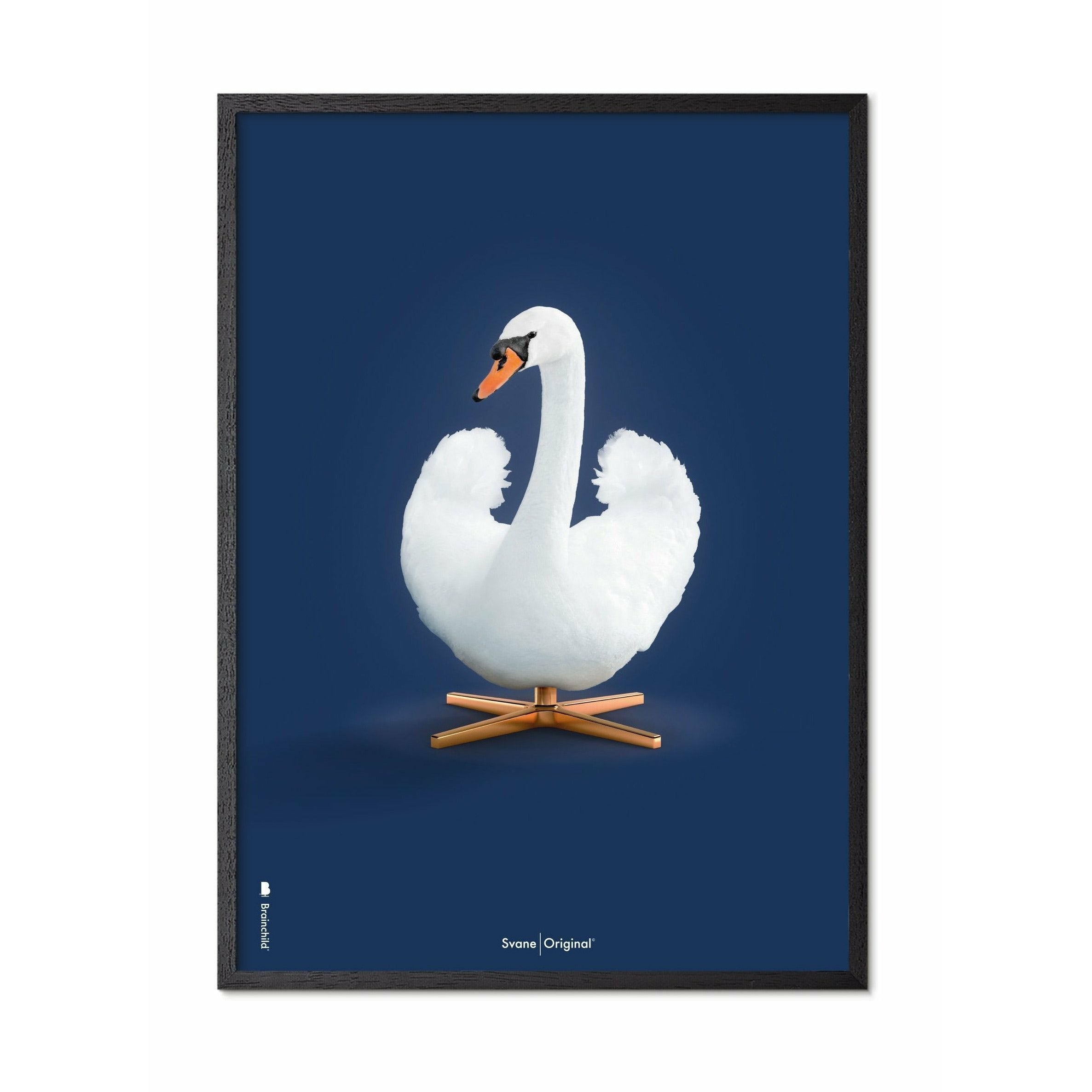 Brainchild Swan Classic Poster, ram i svart -målat trä 30x40 cm, mörkblå bakgrund