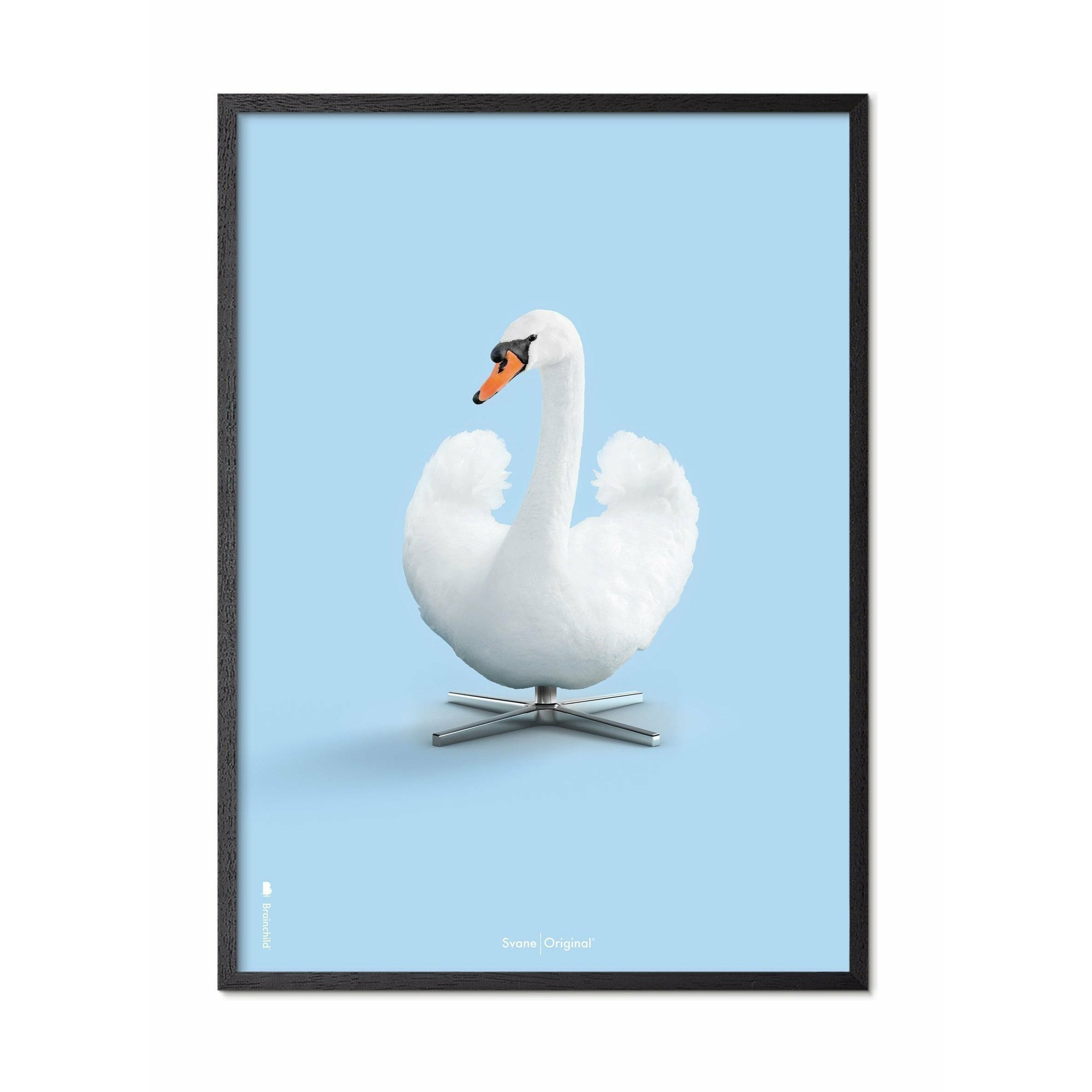 Brainchild Swan Classic Poster, ram i svart -målat trä 70x100 cm, ljusblå bakgrund