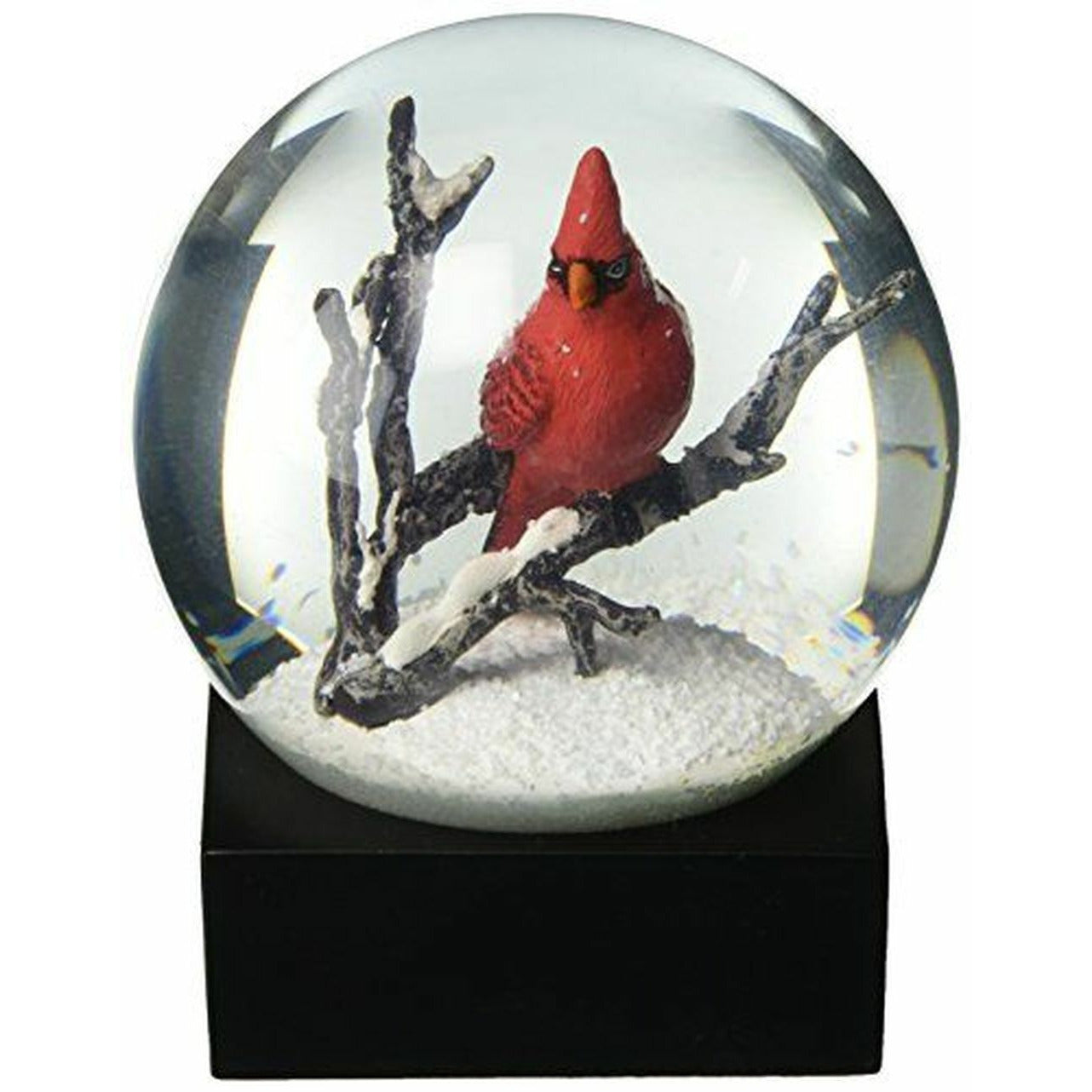 Cool Snow Globes Kardinal sjungande snöboll