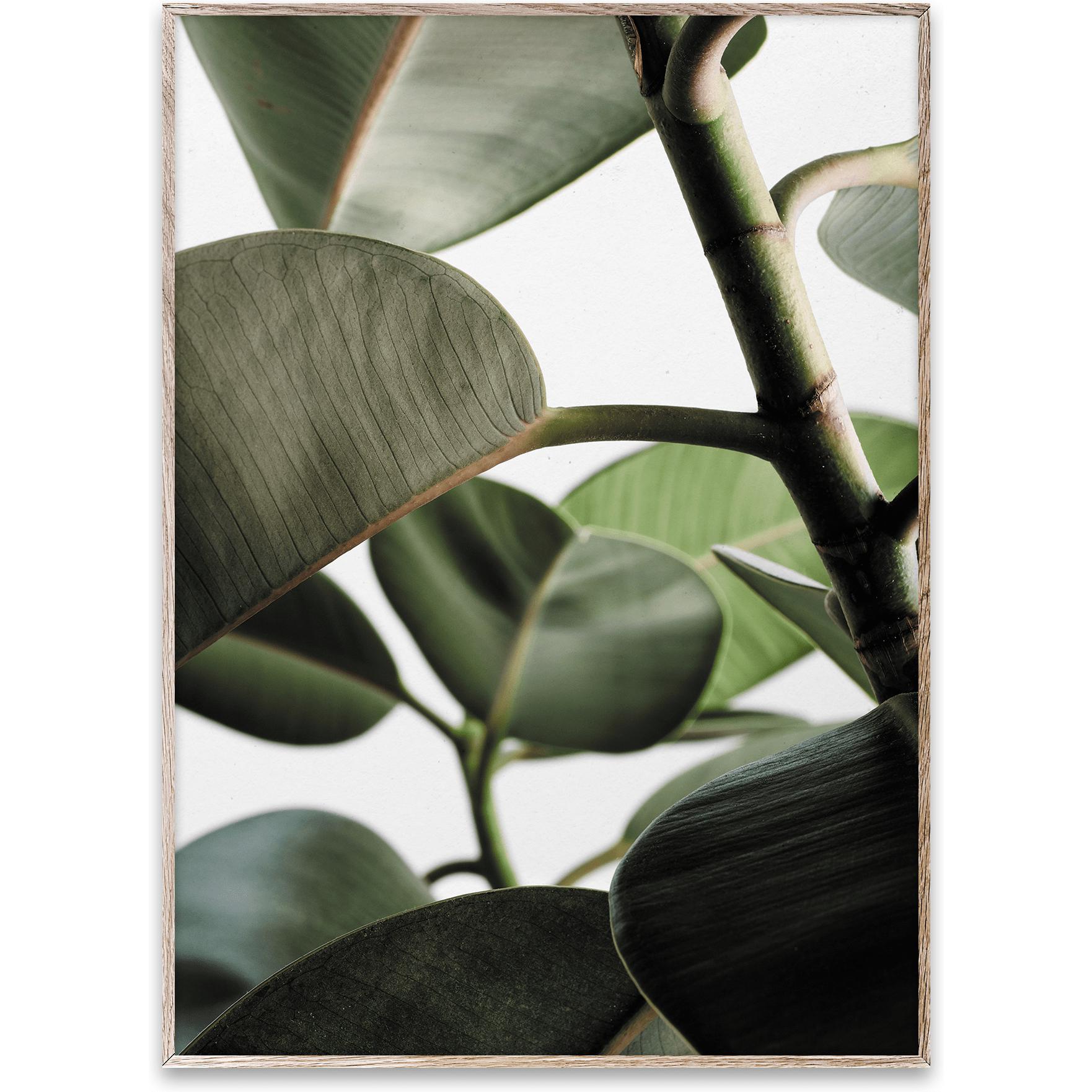 Paper Collective Green Home 03 Plakat, 50X70 Cm