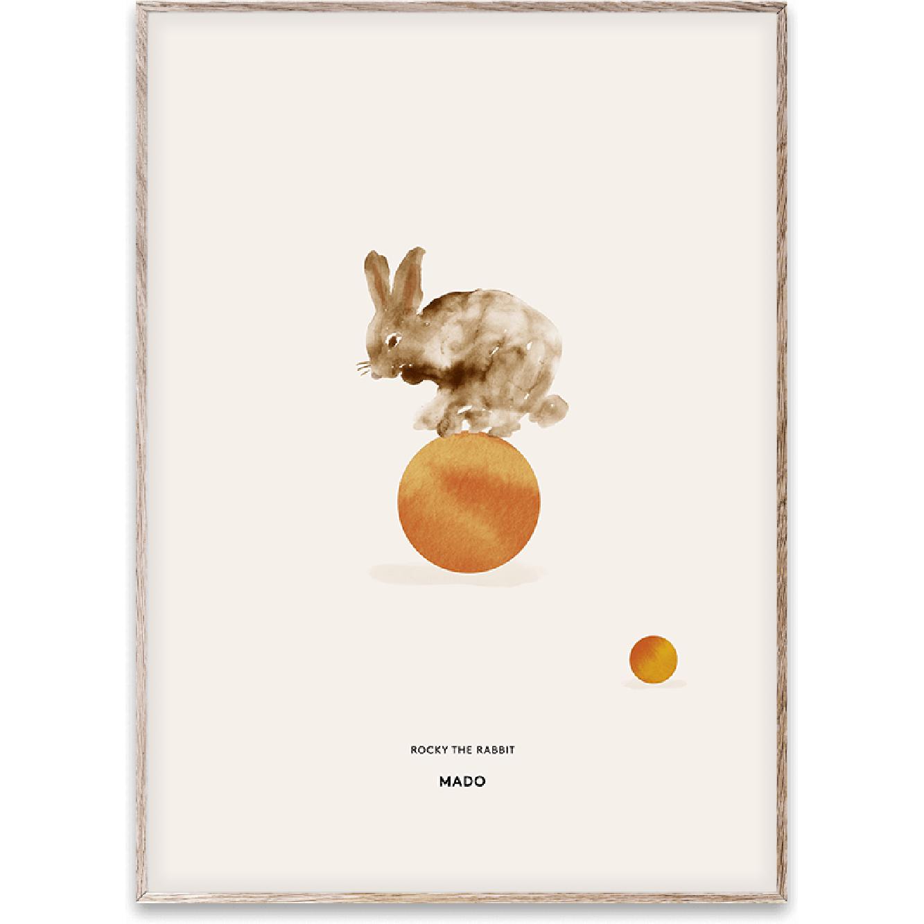 Paper Collective Rocky the Rabbit -affischen, 50x70 cm