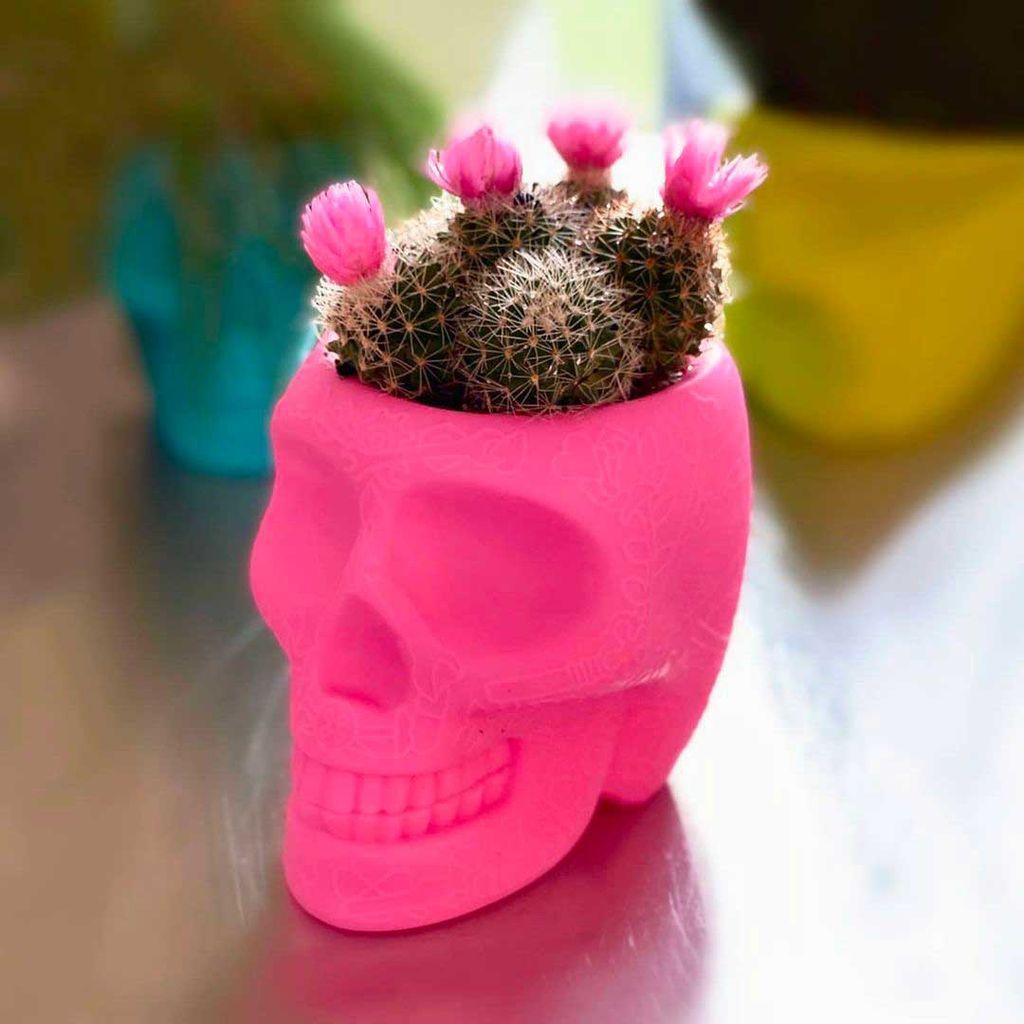Qeeboo Mexico Plant/Ballpoint Holder XS, Bright Pink