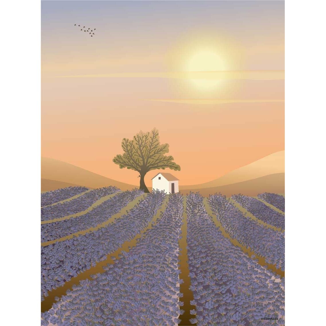 Vissevasse Lavender Field Mini Kort, A7