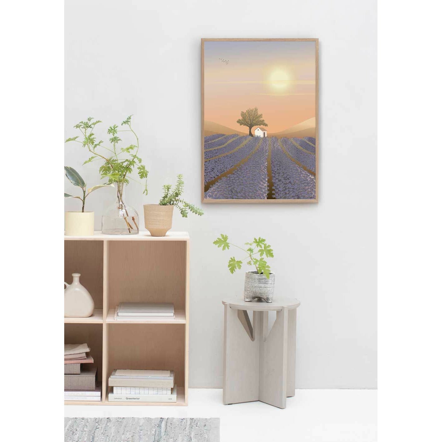 Vissevasse Lavendelfält affisch, 50x70 cm