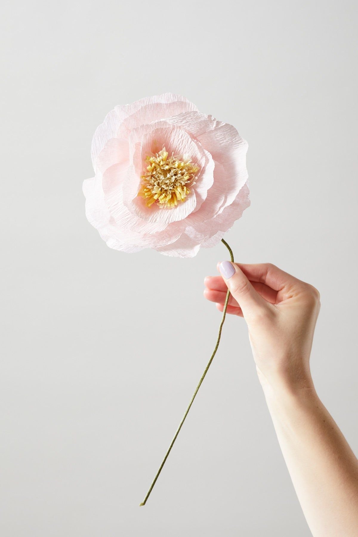 Studio About papir blomsteris valmue, rose