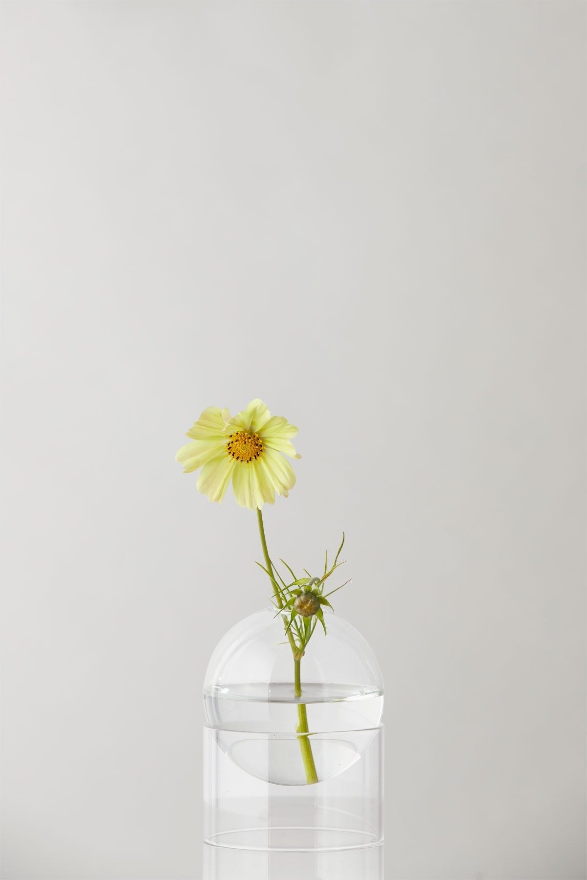 Studio About stående blomsterboblevase 10 cm, gennemsigtig