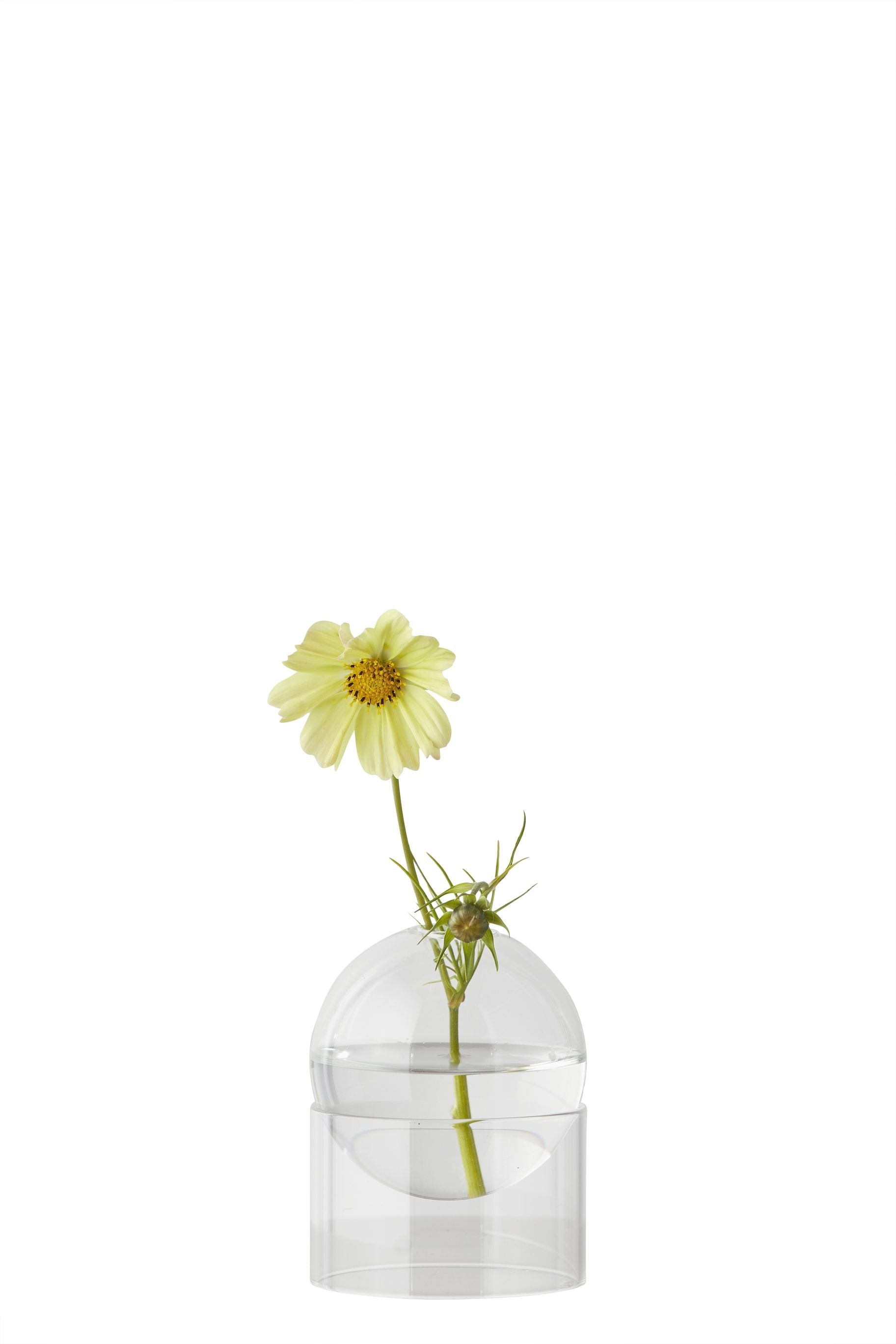 Studio About stående blomsterboblevase 10 cm, gennemsigtig
