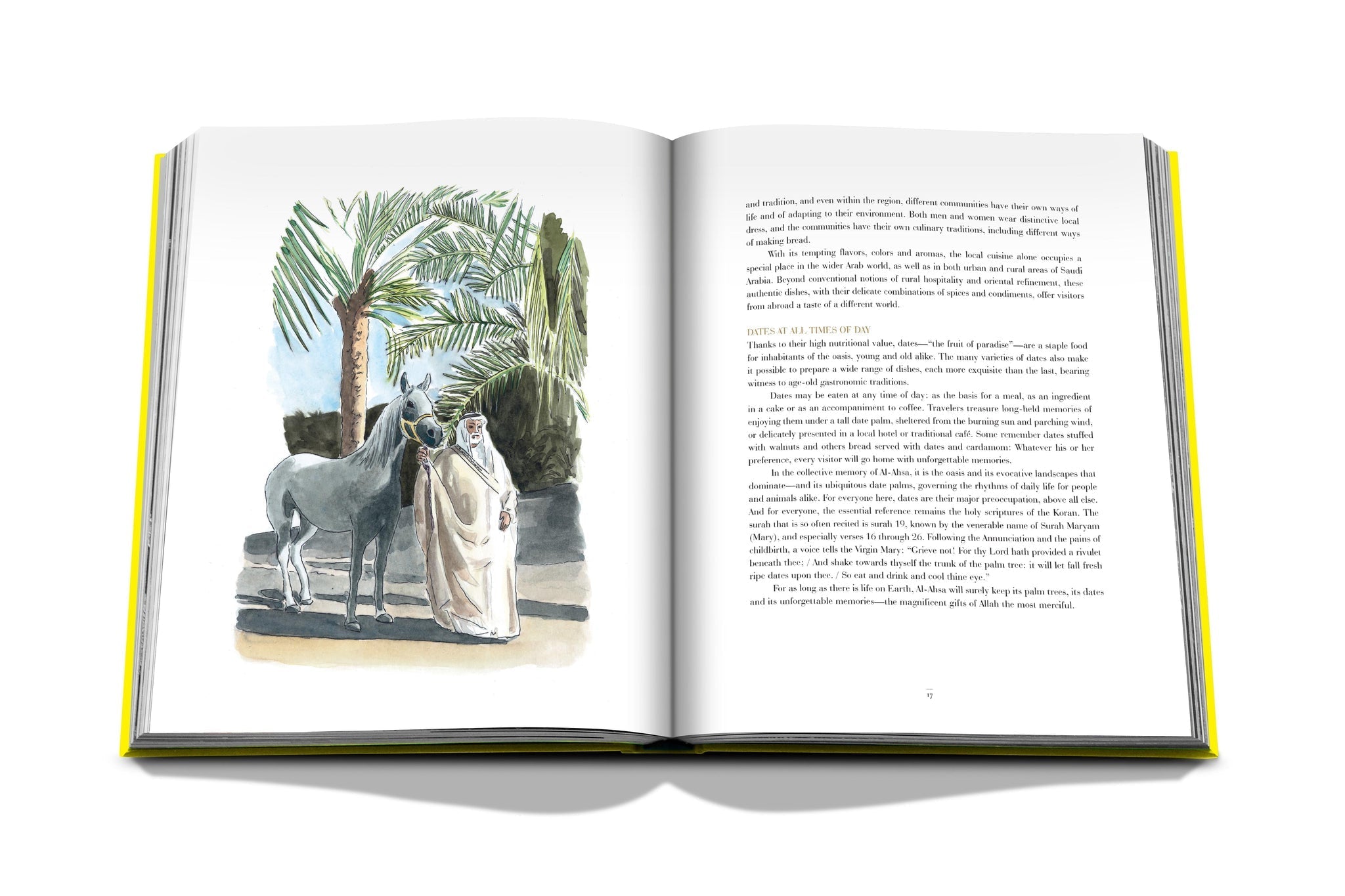 Assouline Al Ahsa Oasis