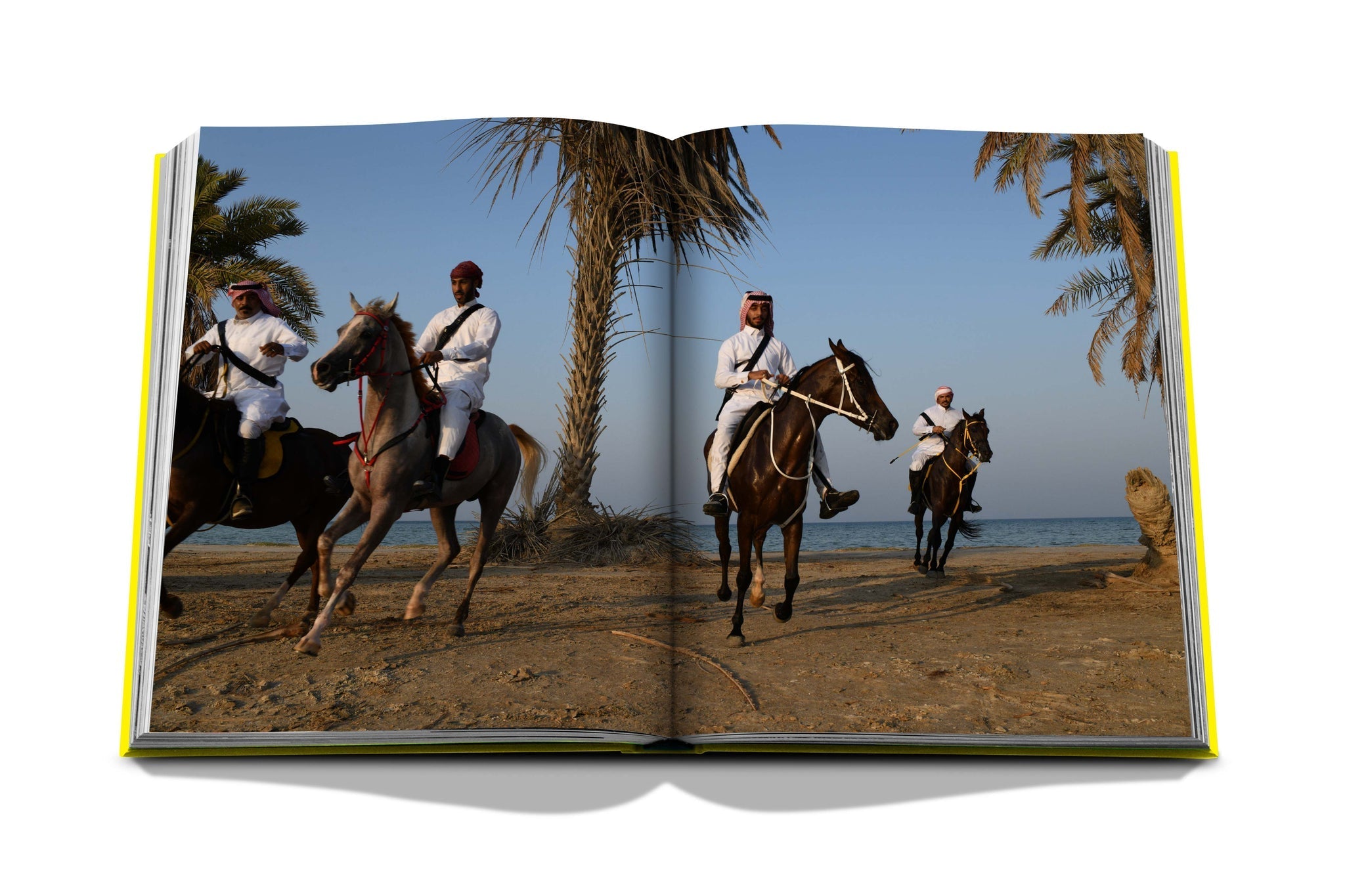 Assouline Al Ahsa Oasis