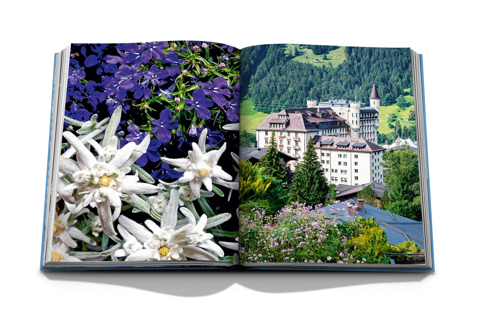 Assouline Gstaad glam